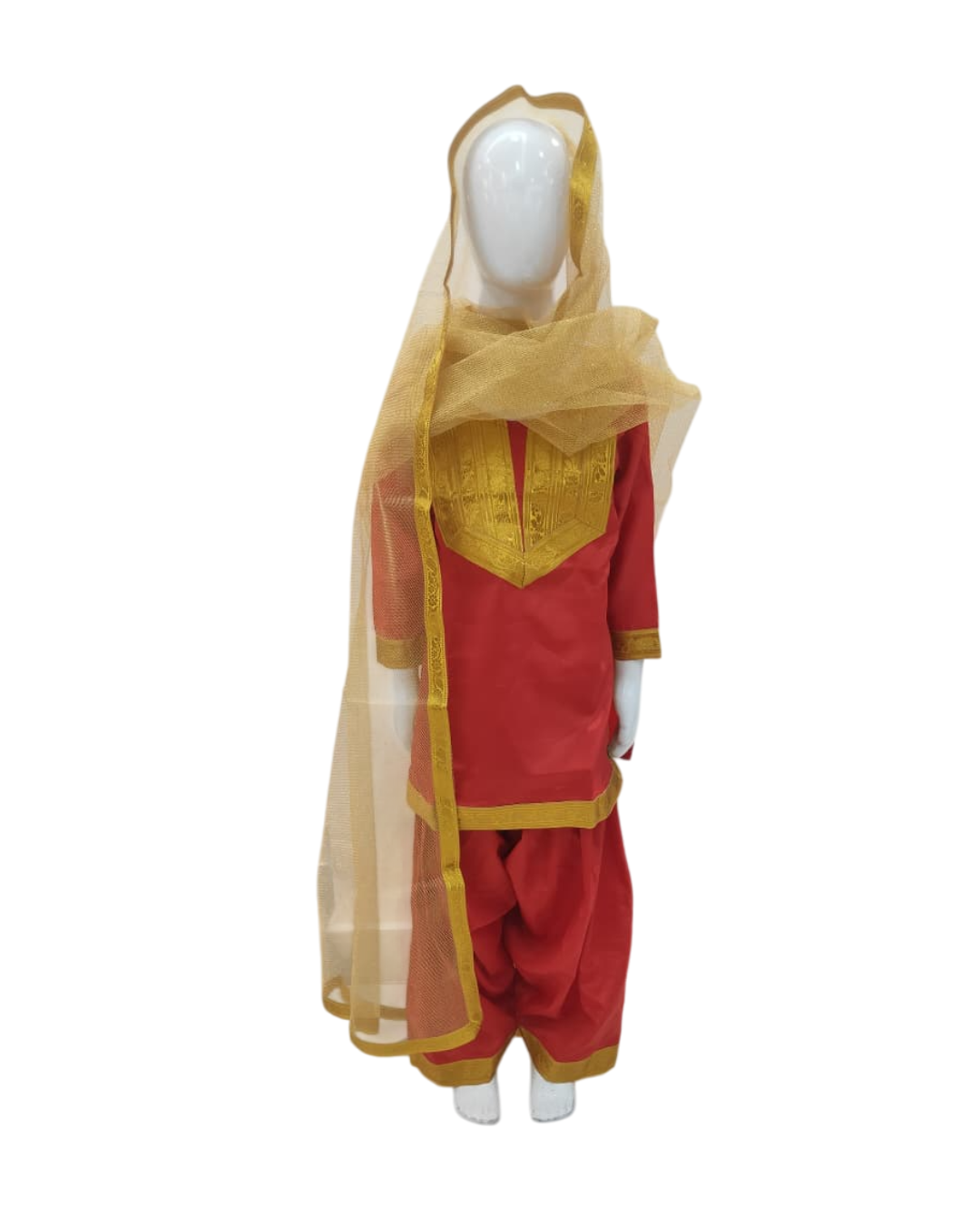 PUNJABI GIRL COSTUME