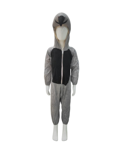 CROW COSTUME